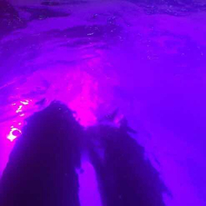 兔女郎❌吸乳脱内内视频
